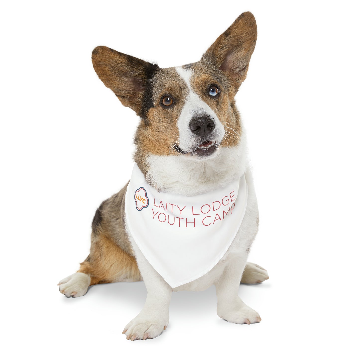 Pet Bandana Collar - Laity Lodge Youth Camp