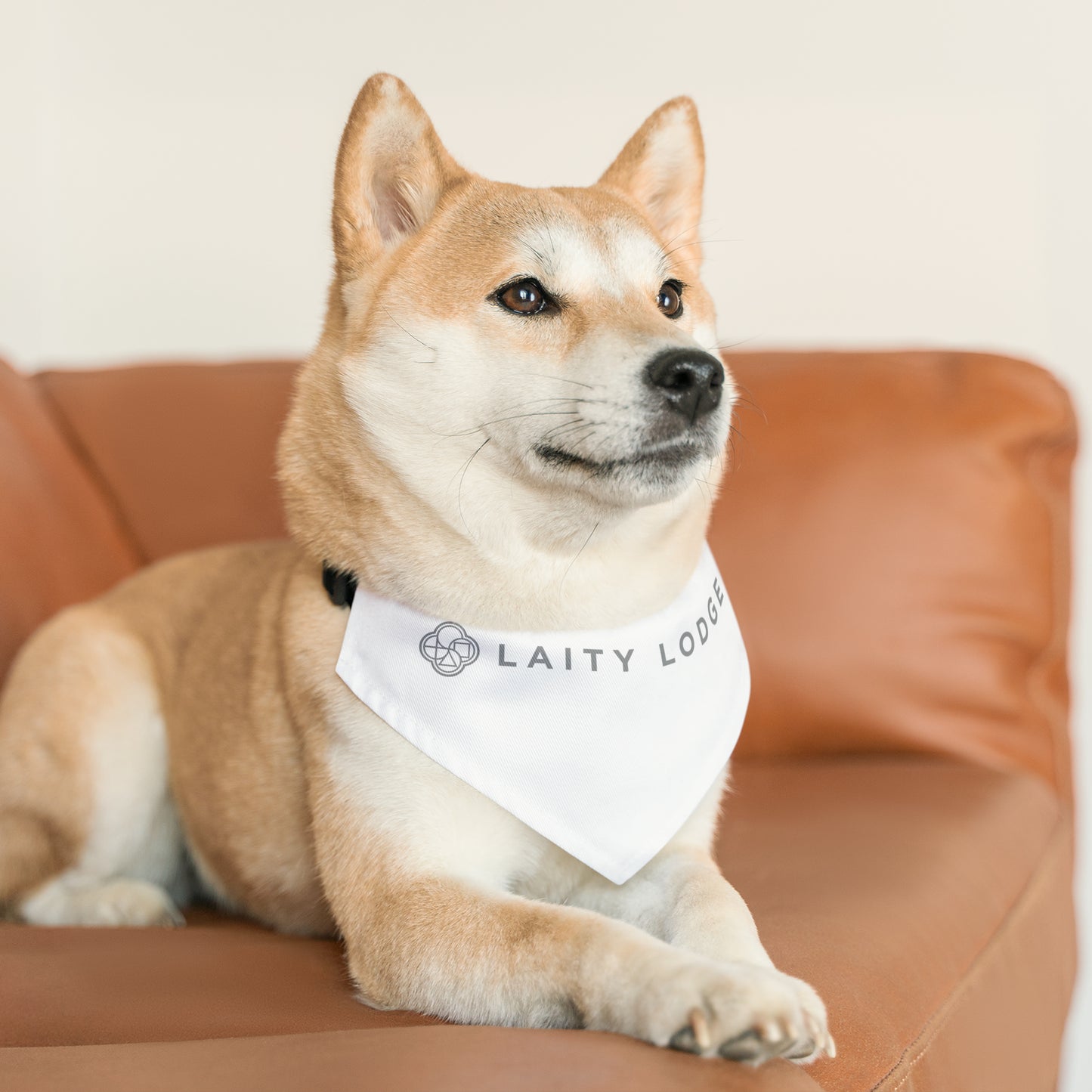 Pet Bandana Collar - Laity Lodge