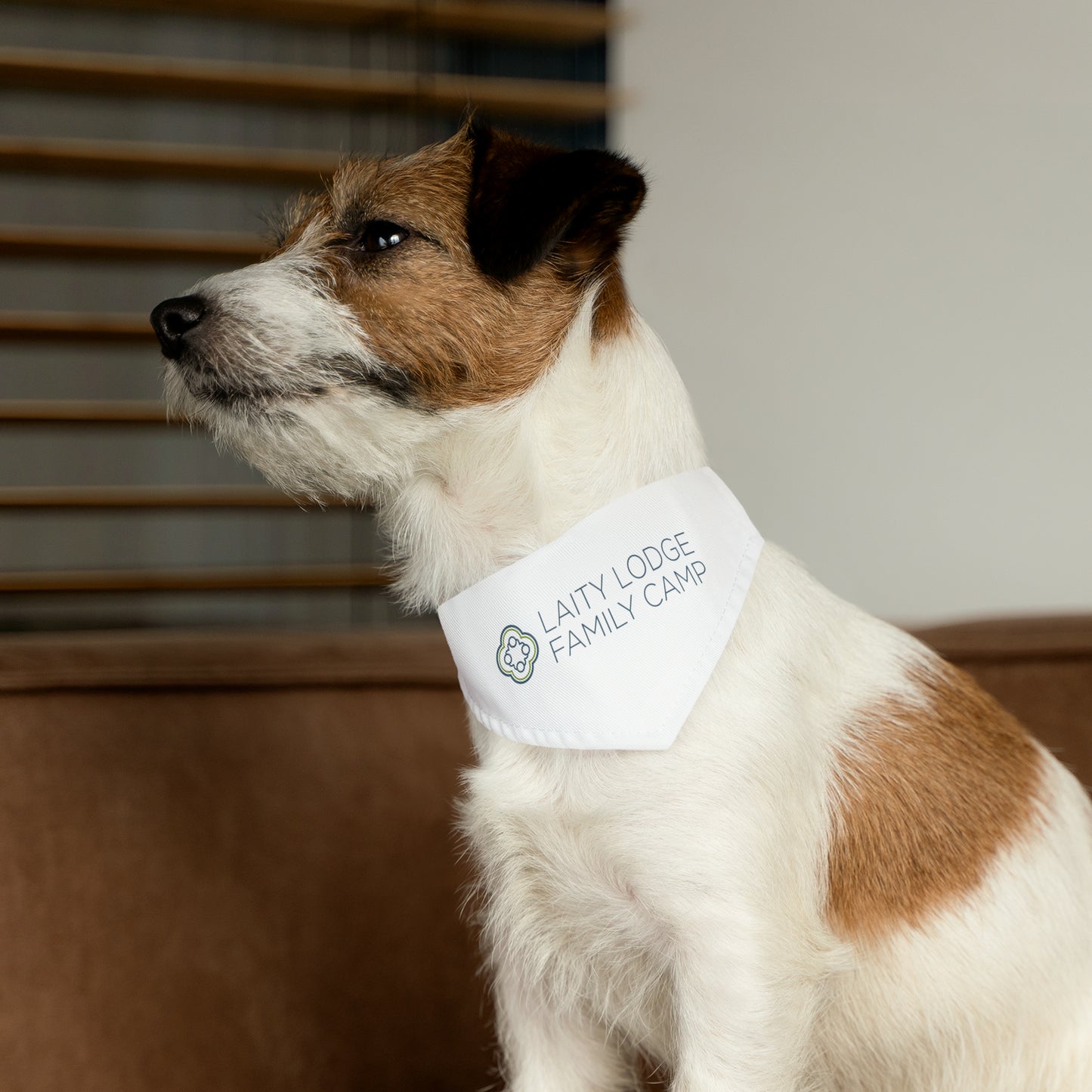 Pet Bandana Collar - Laity Lodge Family Camp