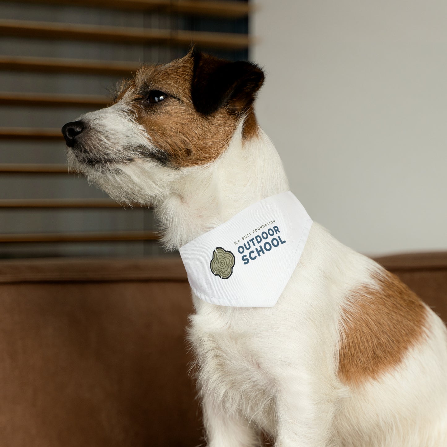 Pet Bandana Collar - Outdoor School