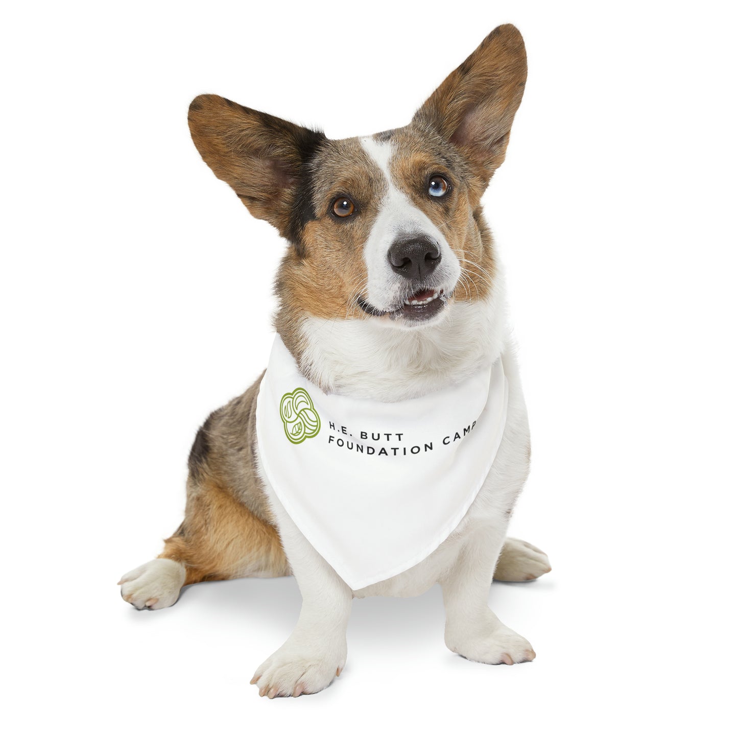 Pet Bandana Collar - Foundation Camp