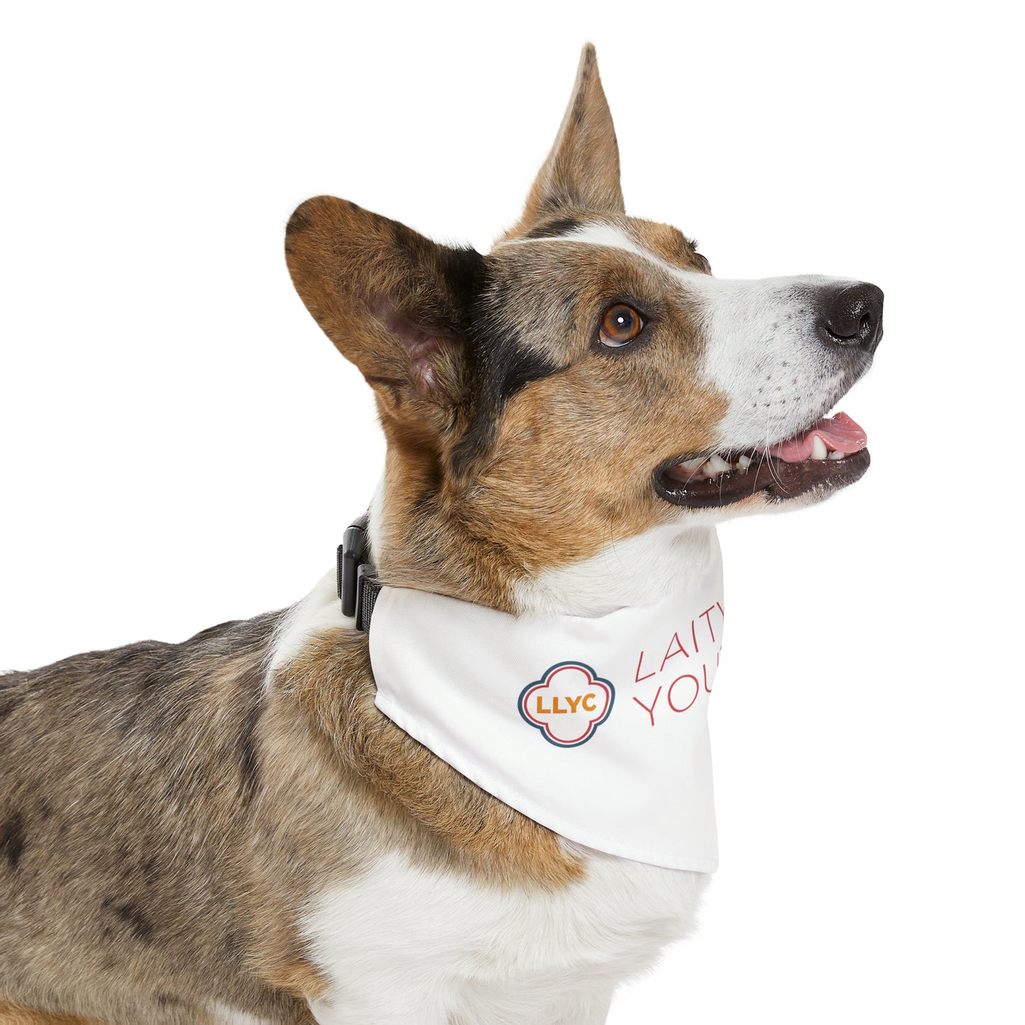 Pet Bandana Collar - Laity Lodge Youth Camp