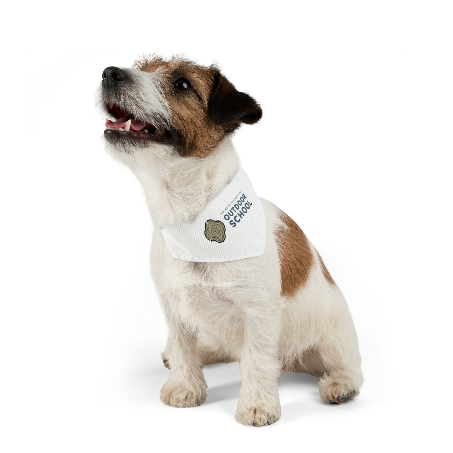 Pet Bandana Collar - Outdoor School