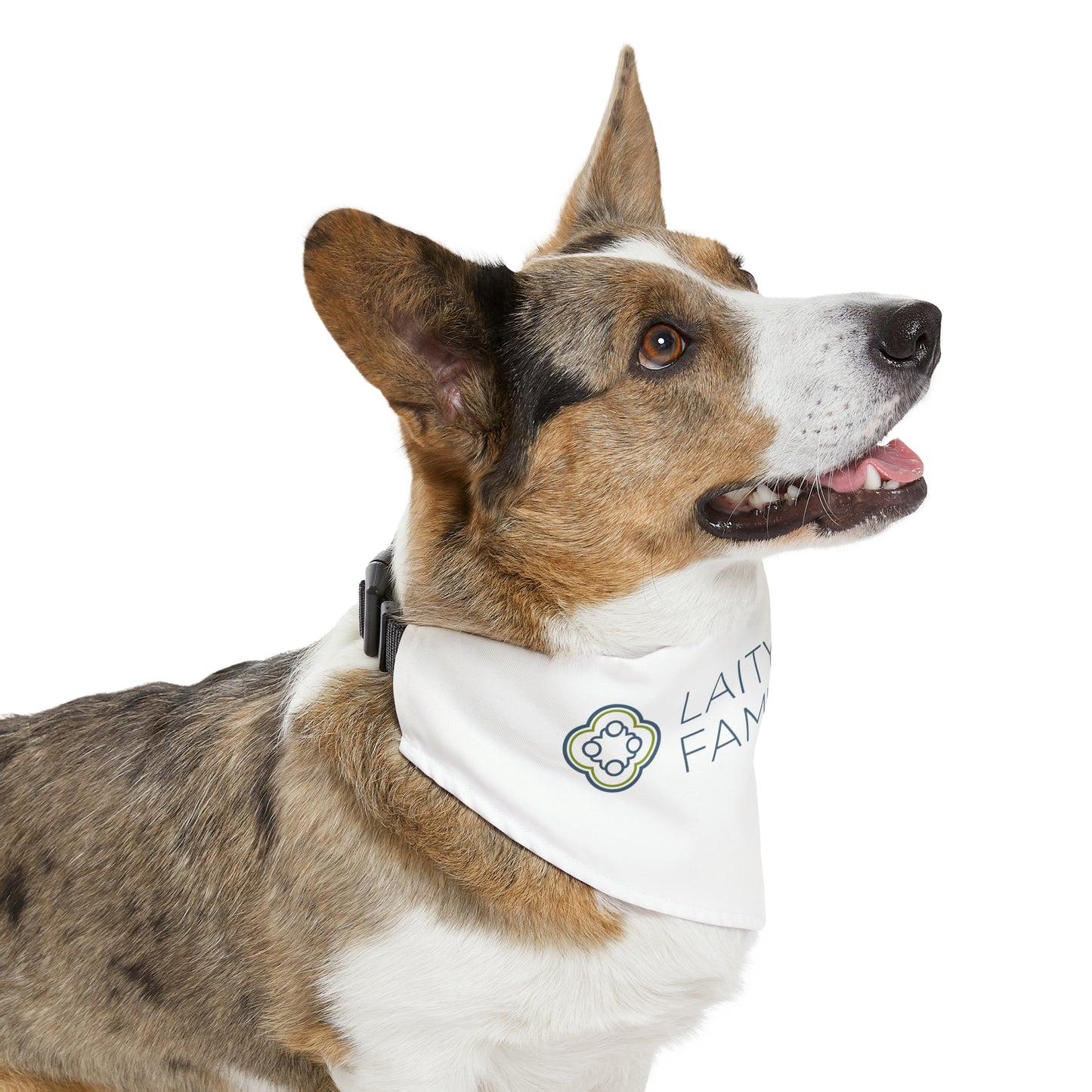 Pet Bandana Collar - Laity Lodge Family Camp