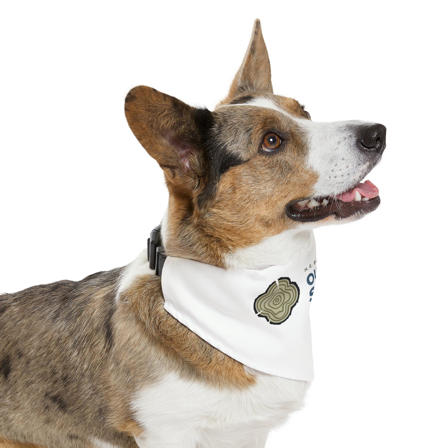 Pet Bandana Collar - Outdoor School