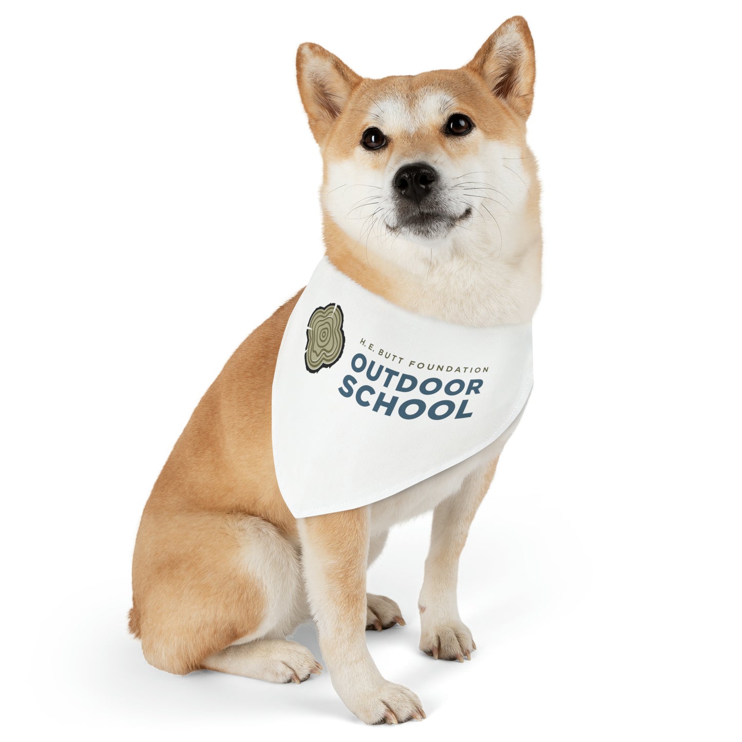 Pet Bandana Collar - Outdoor School