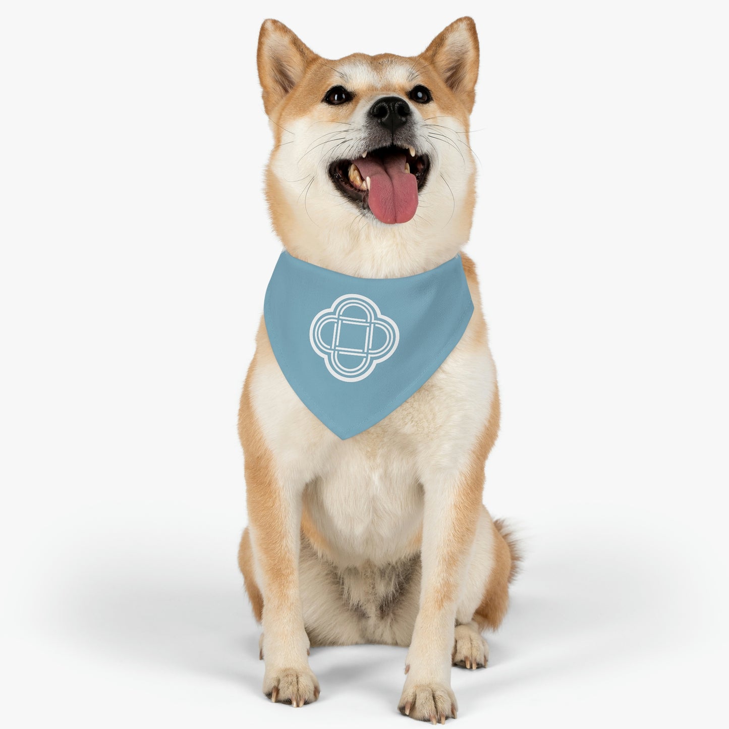 Pet Bandana Collar