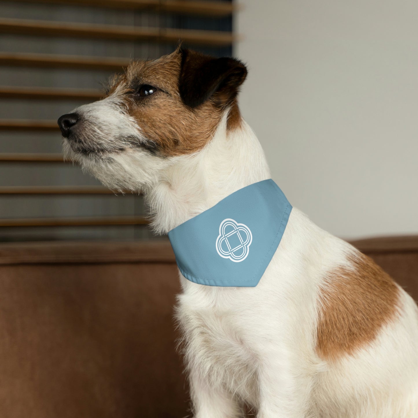 Pet Bandana Collar