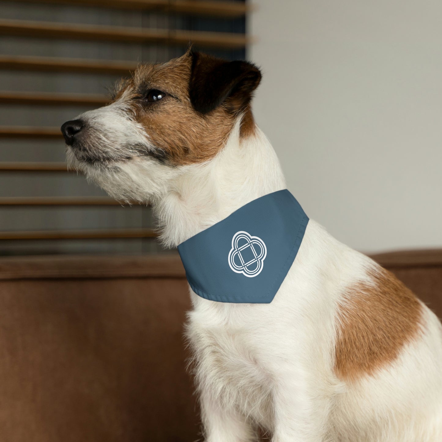 Pet Bandana Collar