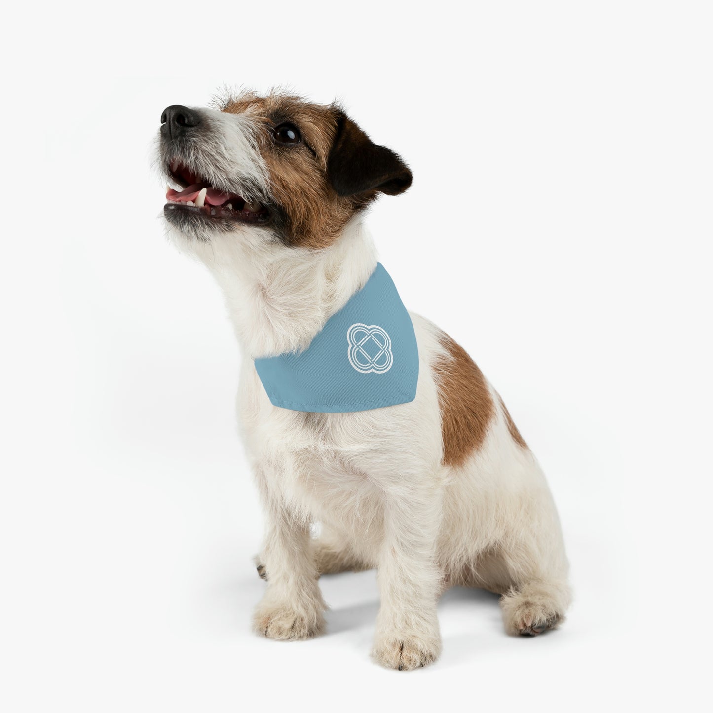 Pet Bandana Collar